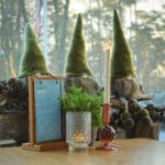Drie kabouterfiguurtjes met hoge groene hoeden zitten achter een tafel met een lunchkaart, een glazen kandelaar met LED waxinelichtjes 3D (brandtijd 175 uur, oplaadbaar, timerfunctie), een rode kandelaar en een groene plant. Dennenappels en bomen staan op de achtergrond.